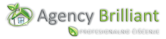 Agency Brilliant